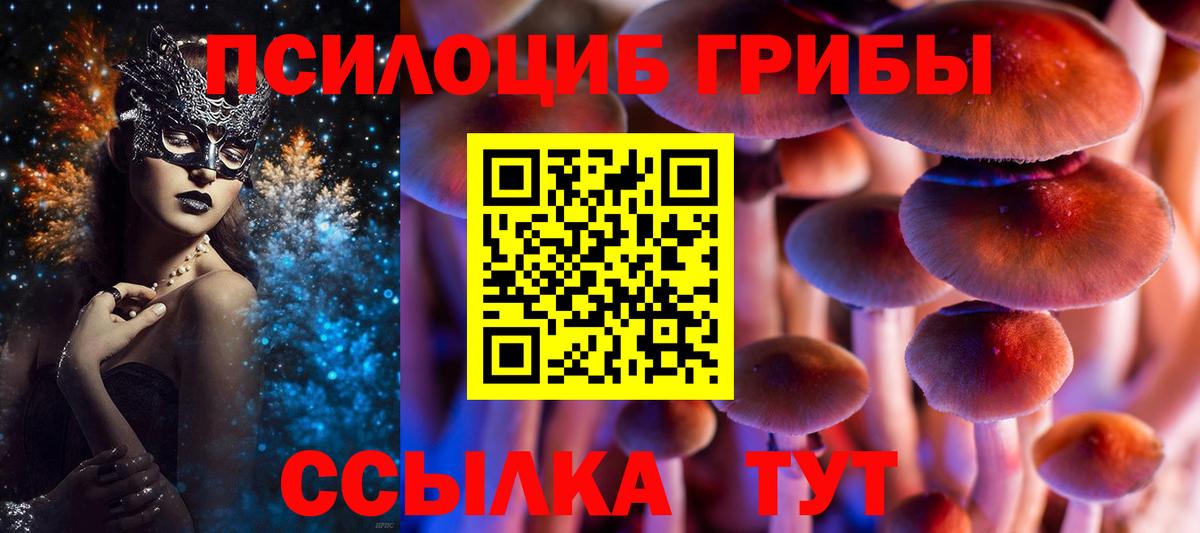 Псилоцибиновые грибы мицелий  Вход с VPN  Галлюциногенные грибы мухоморы  Новый Уренгой 