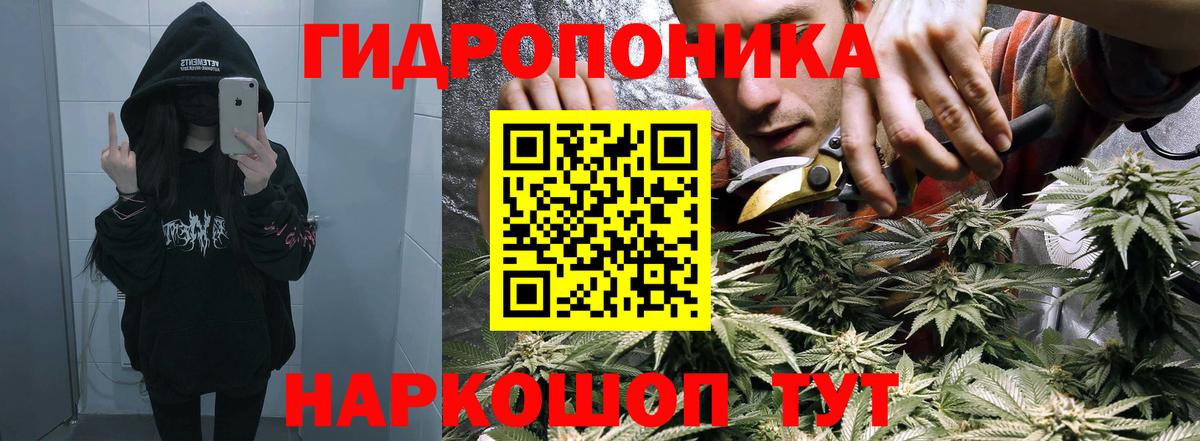 МАРИХУАНА семена  Вход с VPN  Шишки марихуана конопля  Новый Уренгой  Шишки марихуана индика 